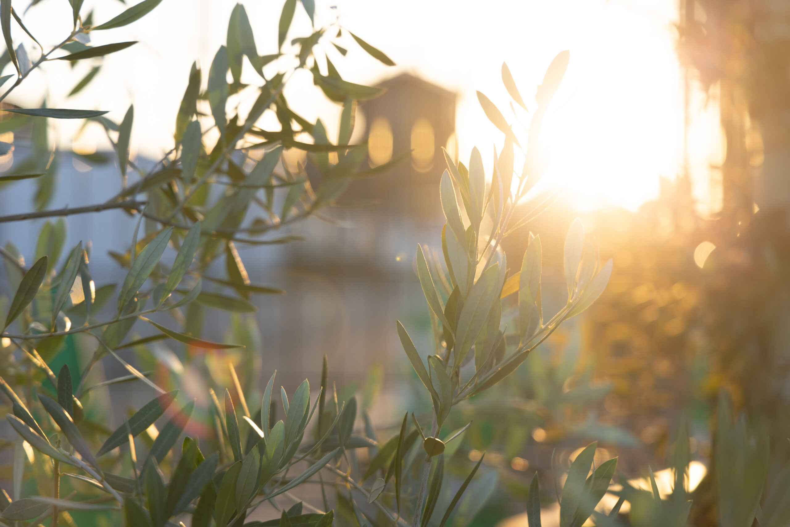 年末年始の営業について